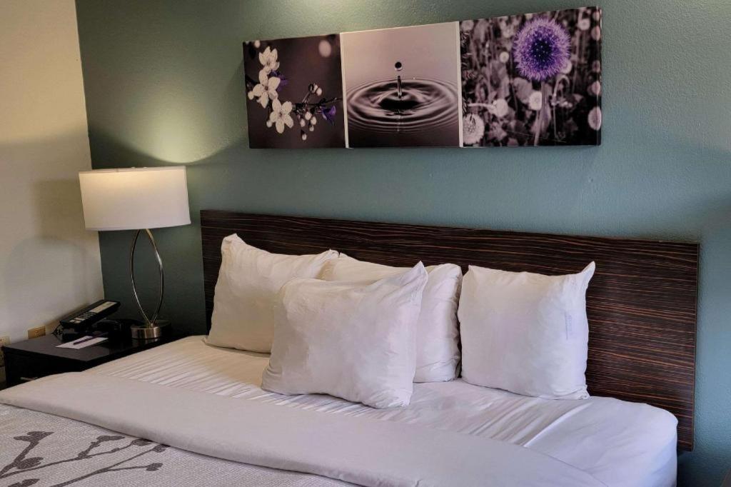 Sleep Inn Bessemer Helena Bagian luar foto
