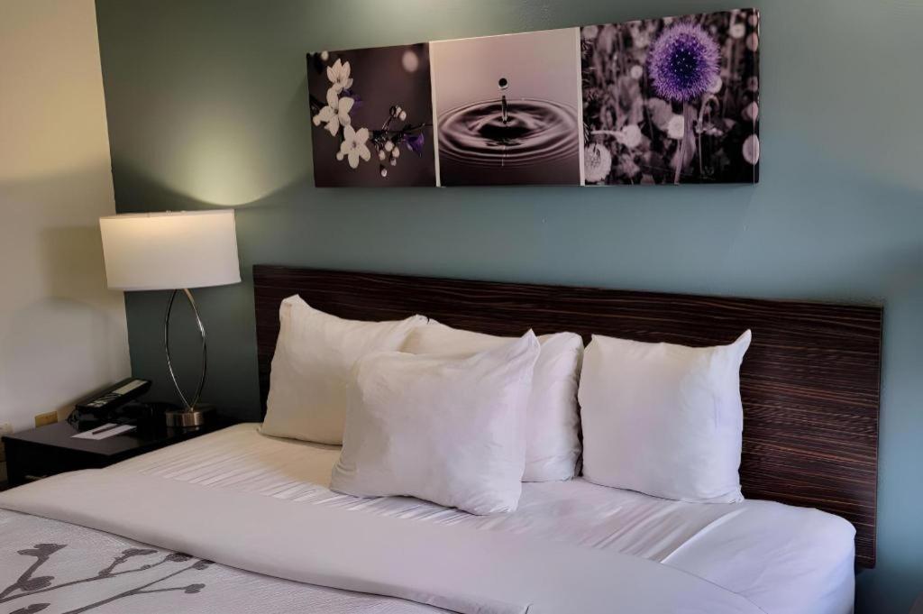 Sleep Inn Bessemer Helena Bagian luar foto