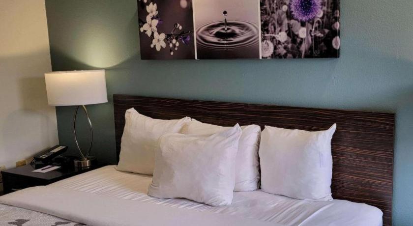 Sleep Inn Bessemer Helena Bagian luar foto